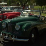 Jowett Jupiters in a row Cowra NSW