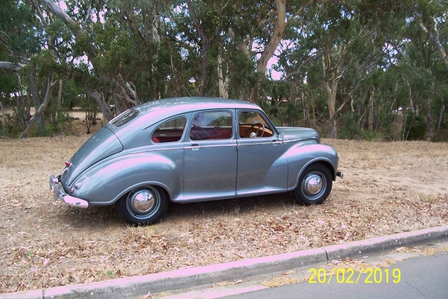 Javelin Barrie Opitz Javelin Barrie Opitz QLD June 2020 report